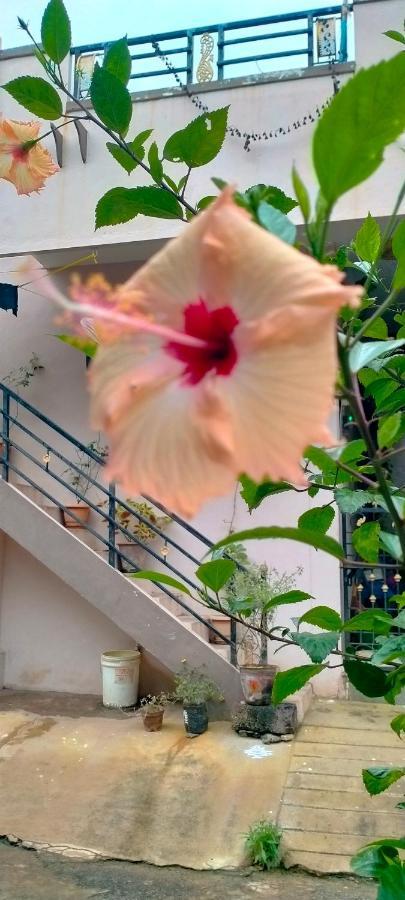 Sahasra Home Stay Hampi ホスペット エクステリア 写真