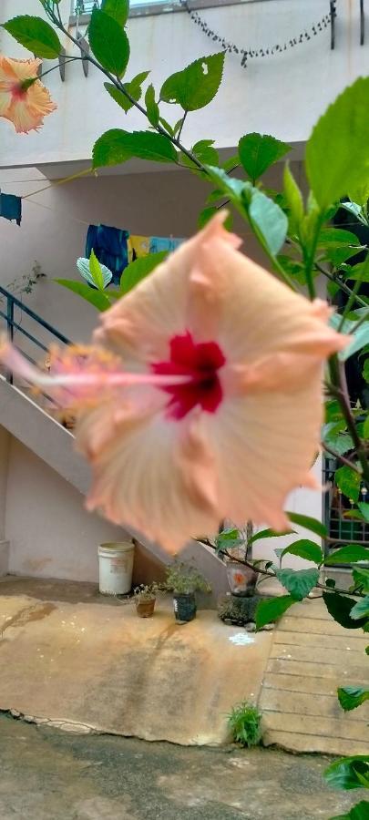 Sahasra Home Stay Hampi ホスペット エクステリア 写真