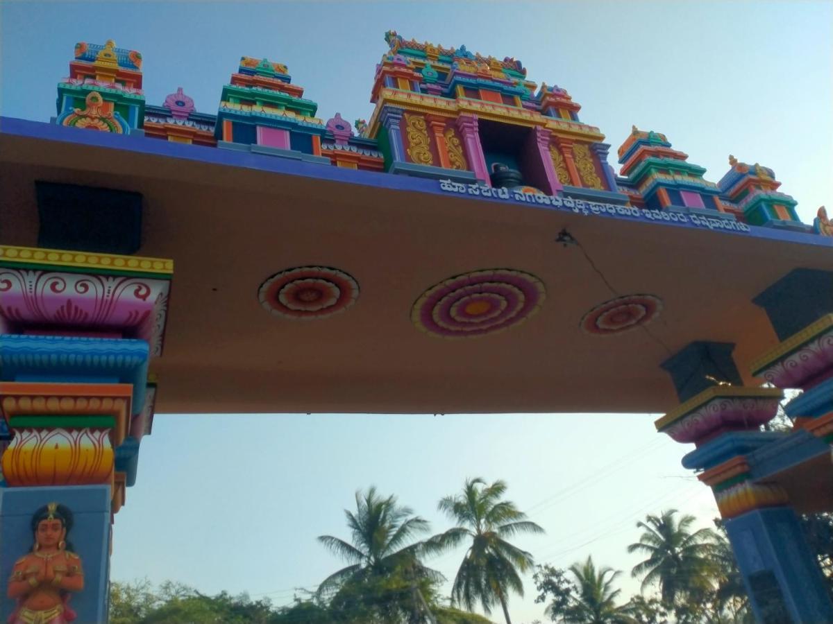 Sahasra Home Stay Hampi ホスペット エクステリア 写真